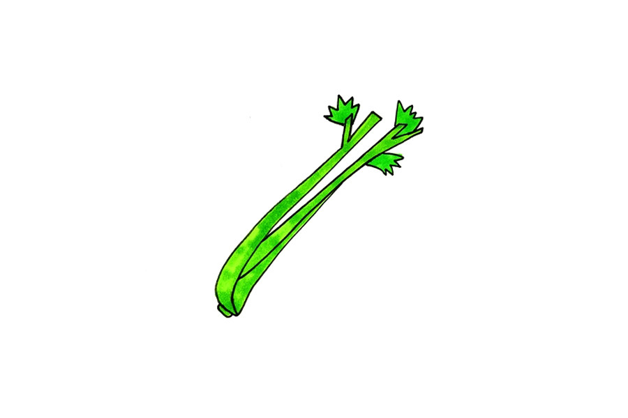 蔬菜简笔画大全 芹菜简笔画怎么画