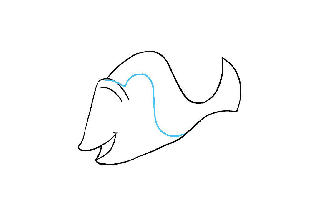 多莉怎么画