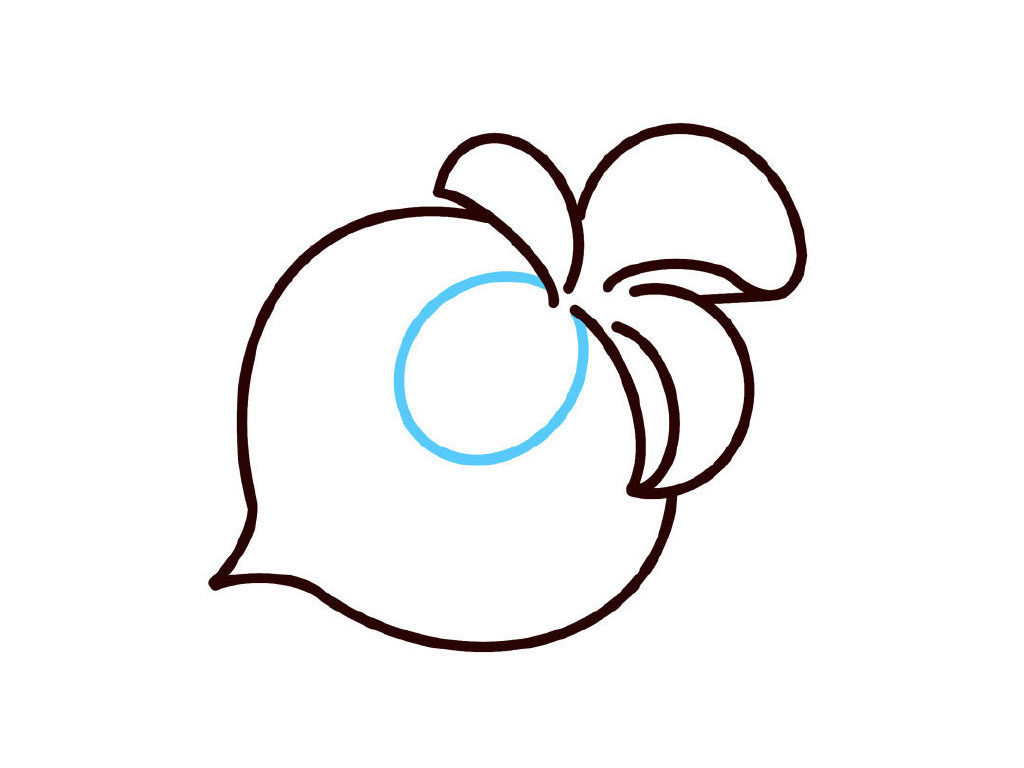 大头菜简笔画教程