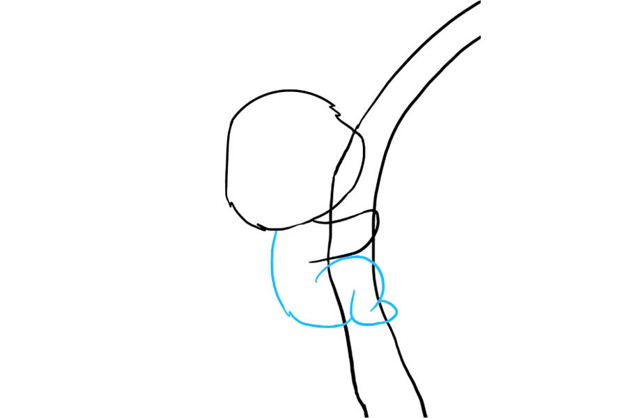 如何画考拉