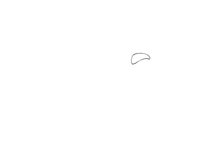 简单的海鸥简笔画画法步骤