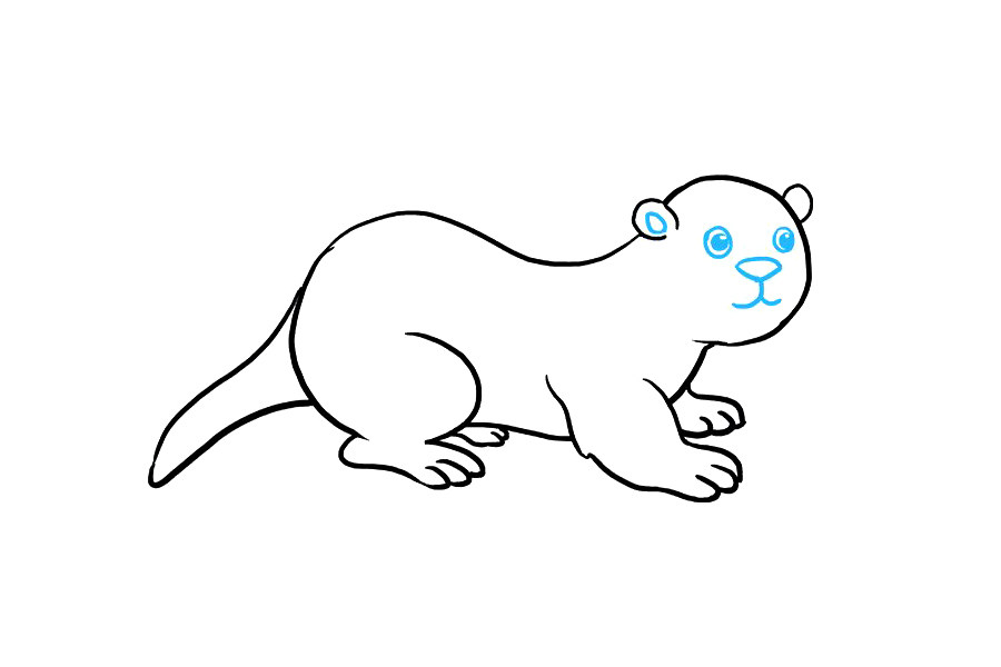 如何画水獭