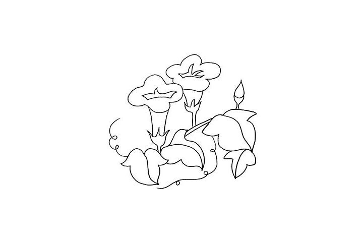 牵牛花简笔画画法步骤