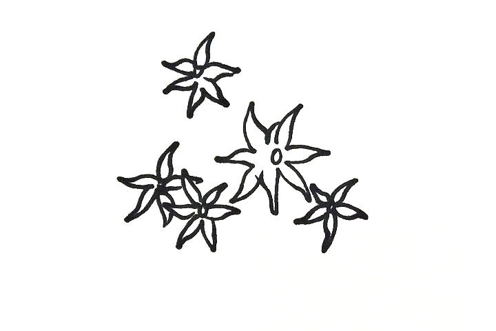 风雨兰盆栽简笔画