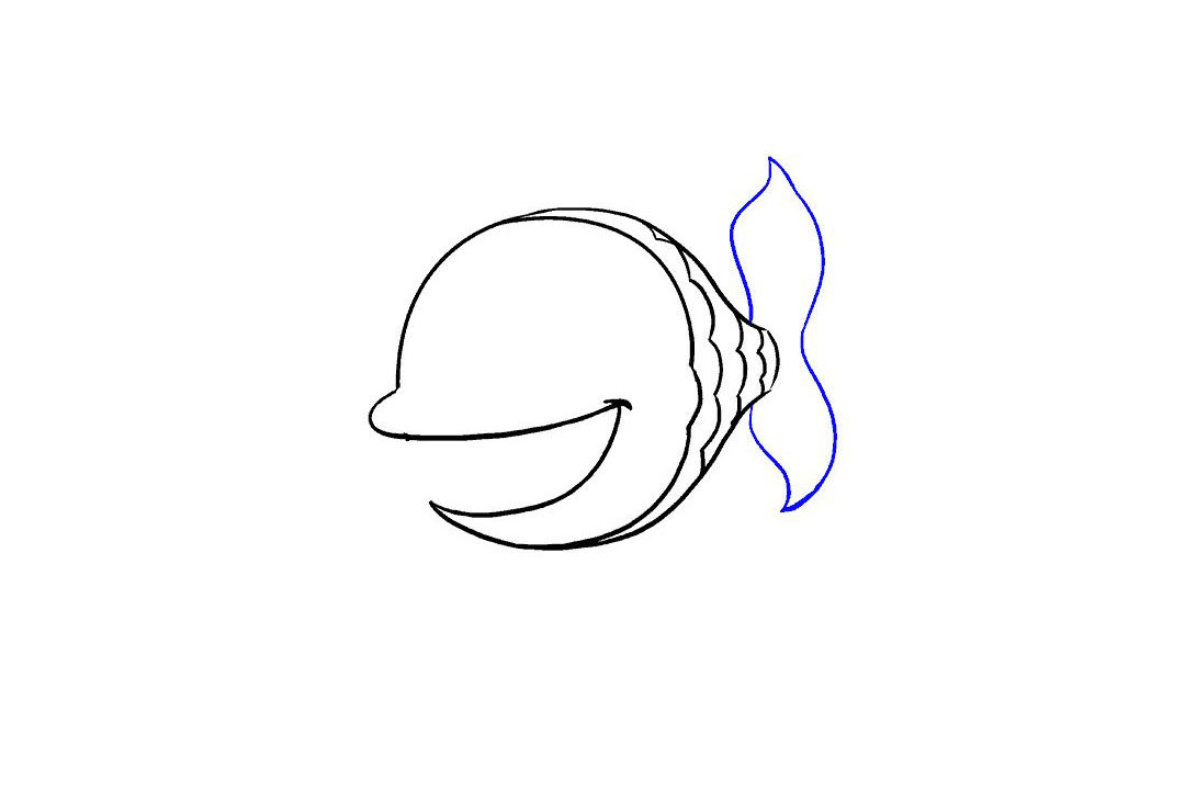 卡通鱼的画法