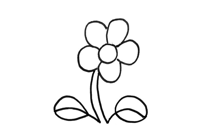 超简单小花的画法步骤