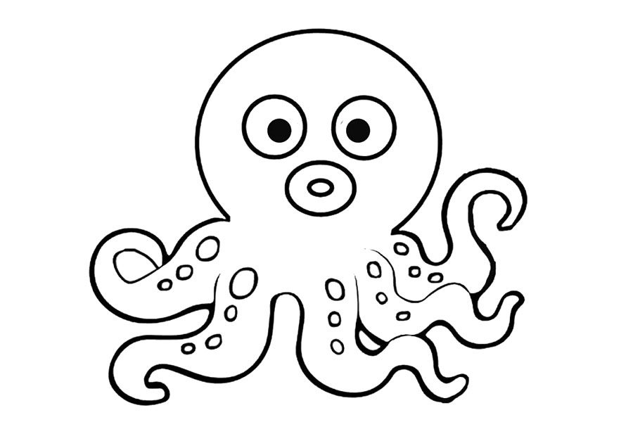 会变色的章鱼简笔画画法步骤