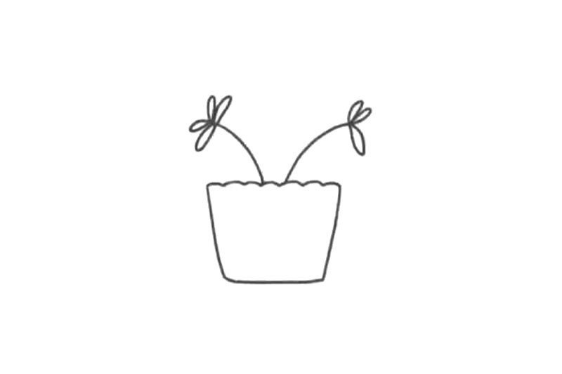 清新绿植简笔画 含羞草怎么画