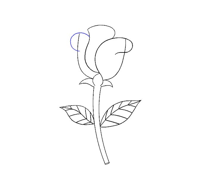 如何画一朵简单的玫瑰花