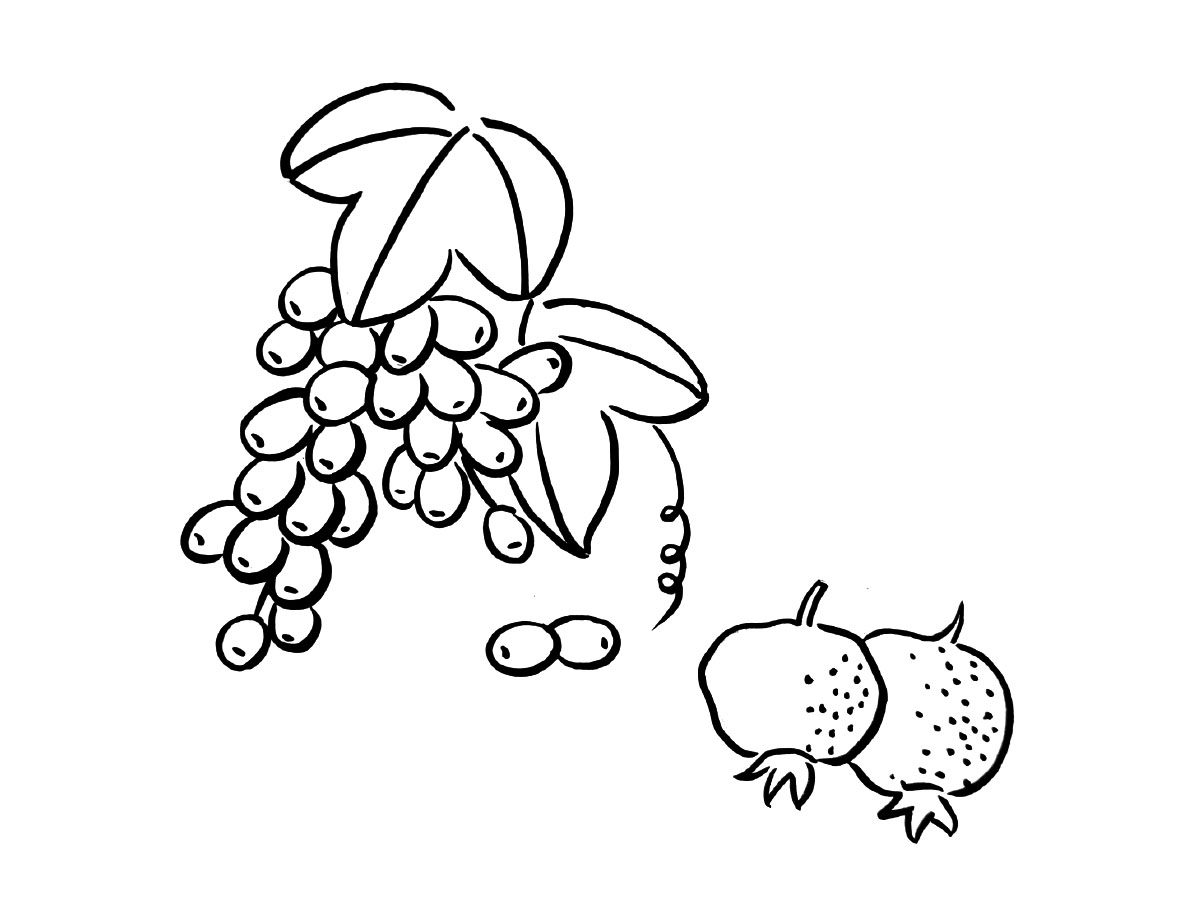 一组蔬菜简笔画图片