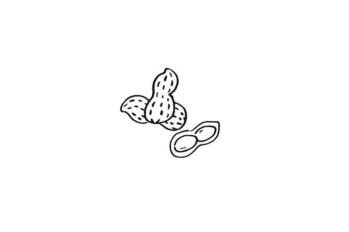 花生简笔画画法步骤