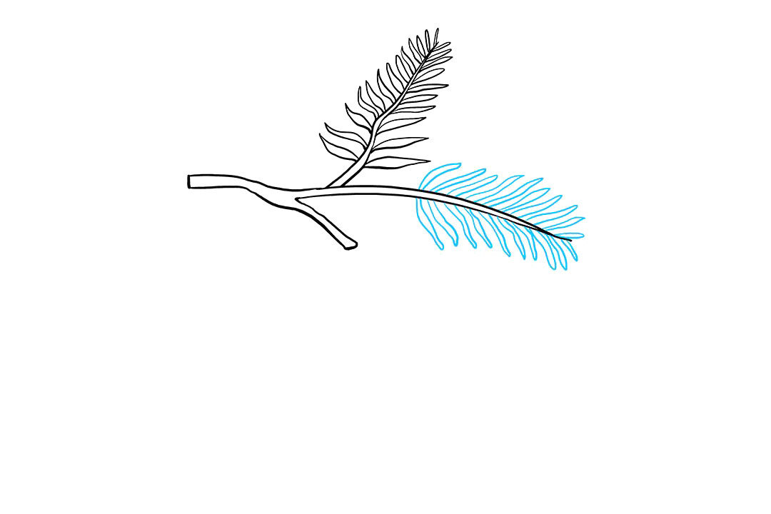 如何画松果简笔画