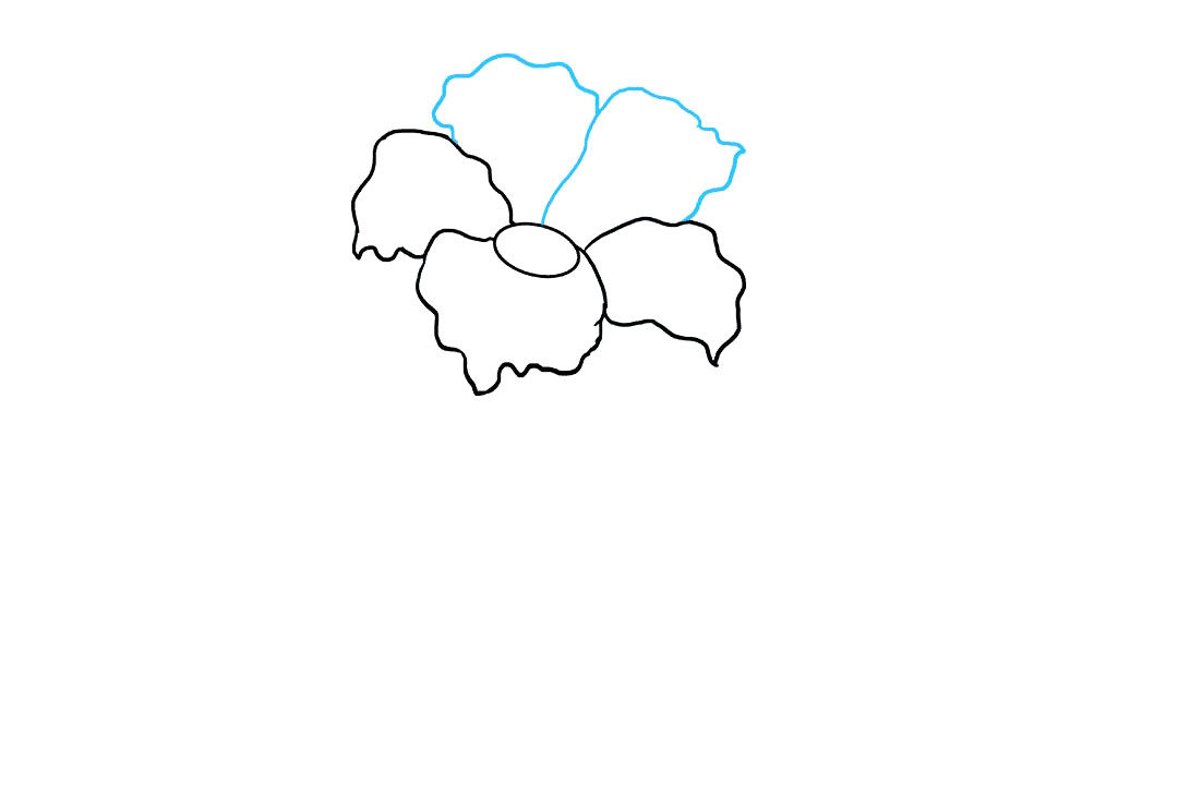 芙蓉花怎么画