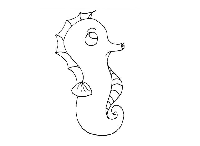 海马简笔画教程