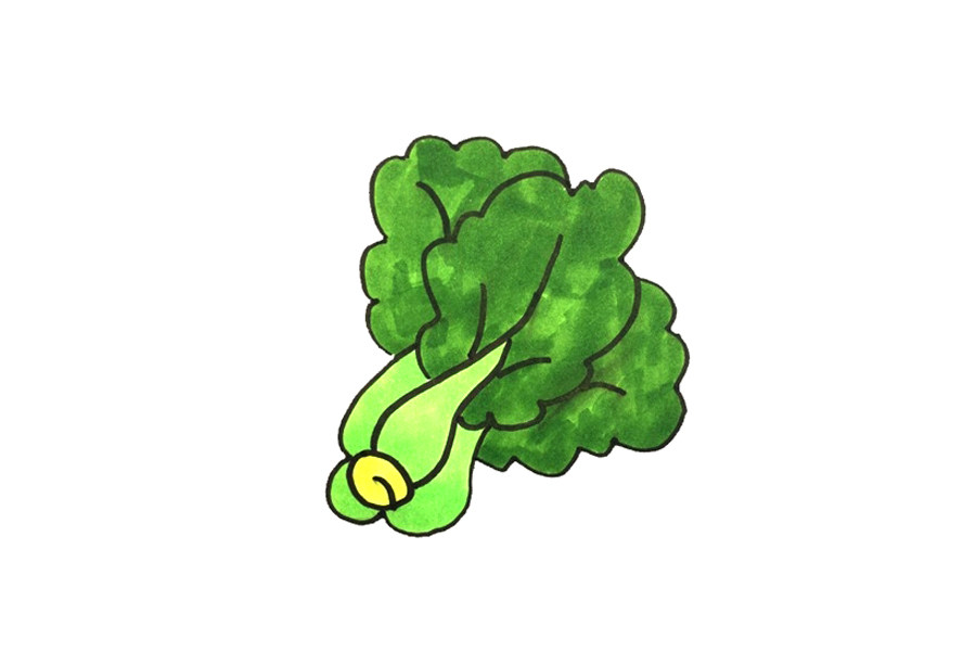 蔬菜简笔画大全 青菜简笔画怎么画