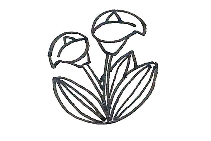 马蹄莲简笔画画法步骤