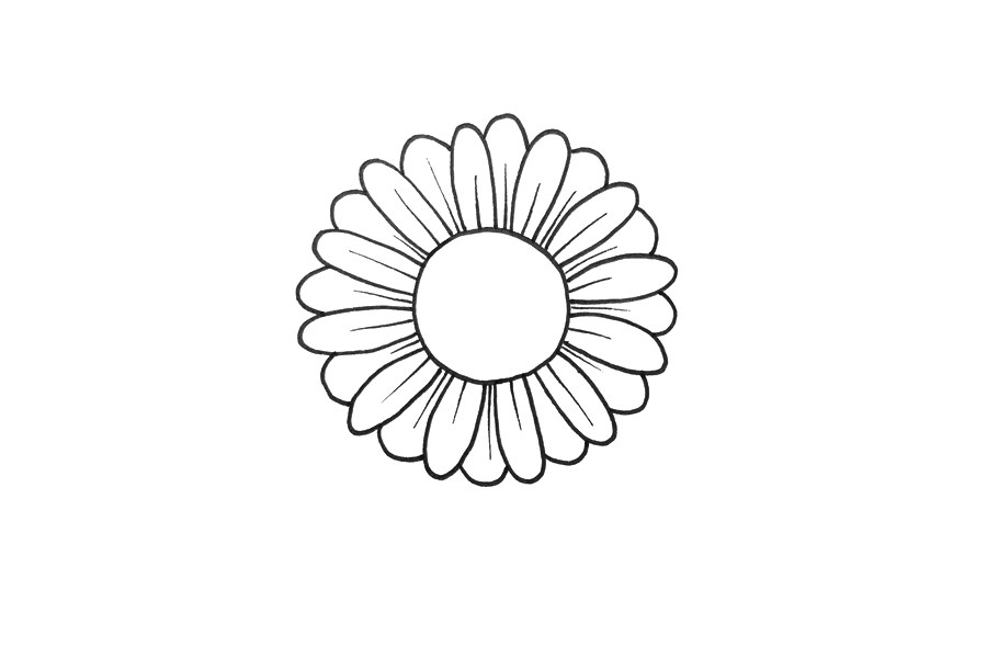 雏菊怎么画