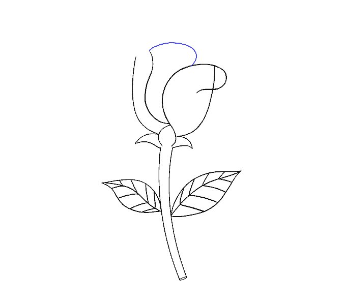 如何画一朵简单的玫瑰花