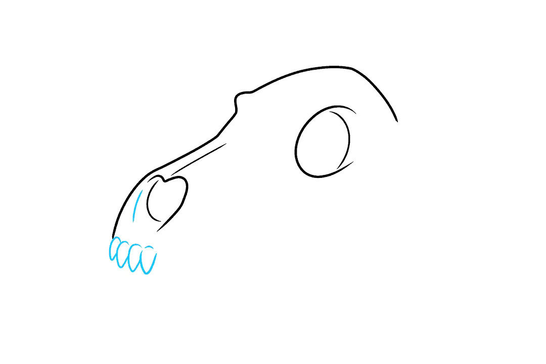 狼的头骨简笔画步骤