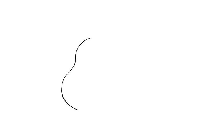 梨简笔画画法教程