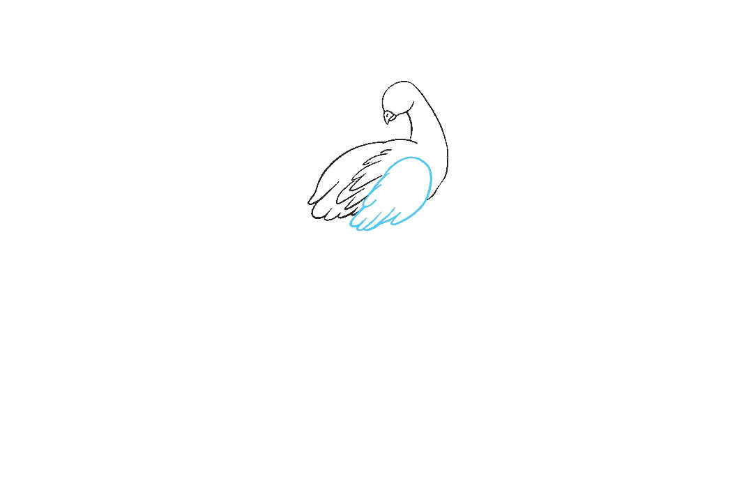 孔雀怎么画