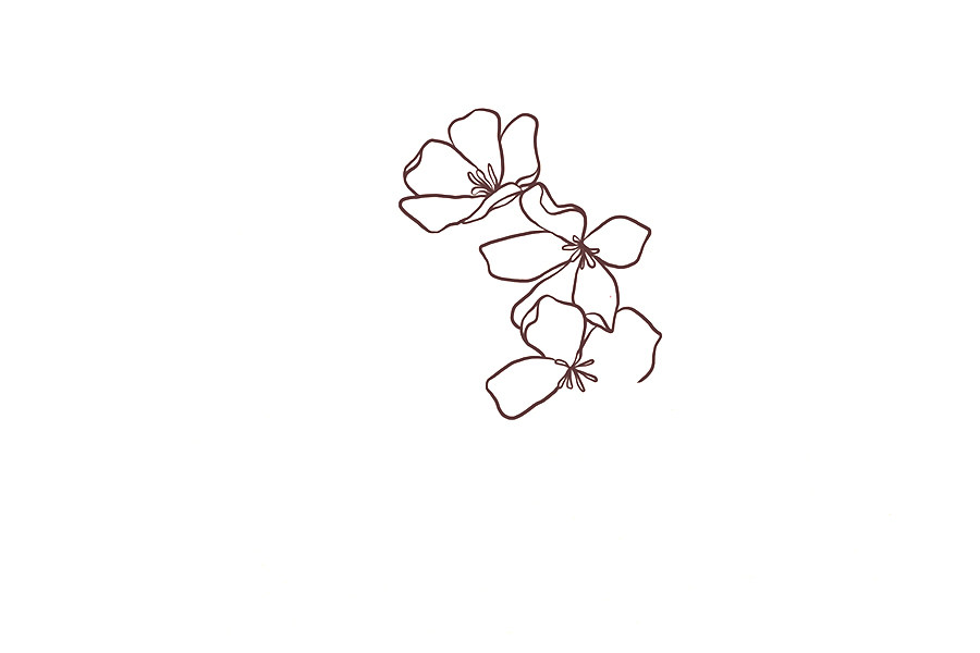 一串小花花简笔画画法教程