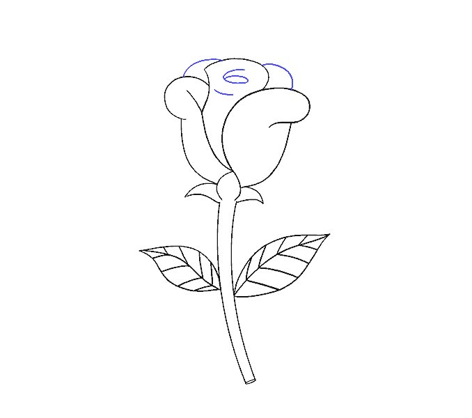 如何画一朵简单的玫瑰花
