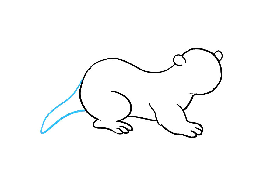 如何画水獭