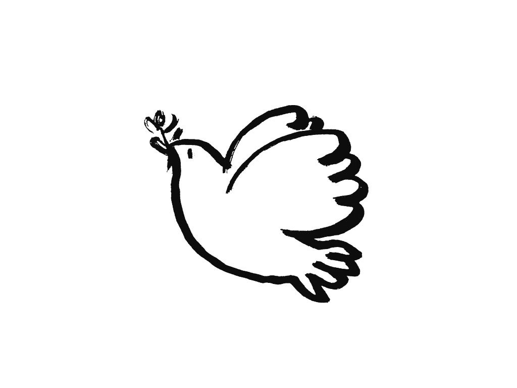 鸽子简笔画图片