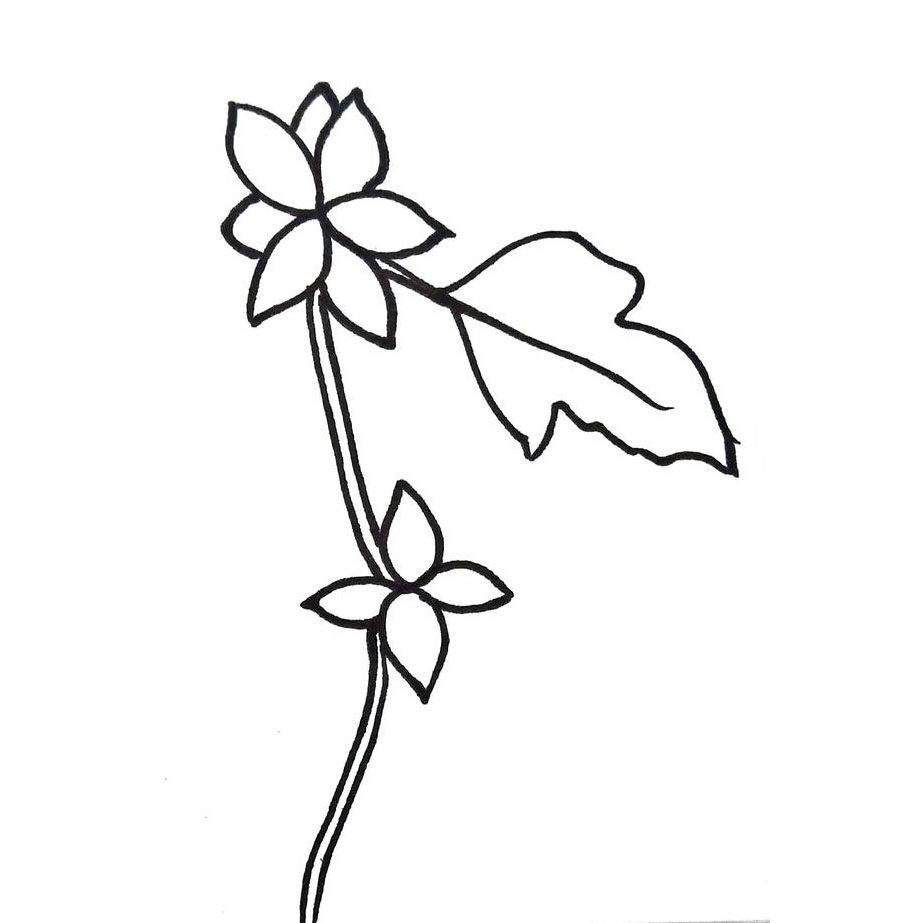 苍耳子简笔画怎么画