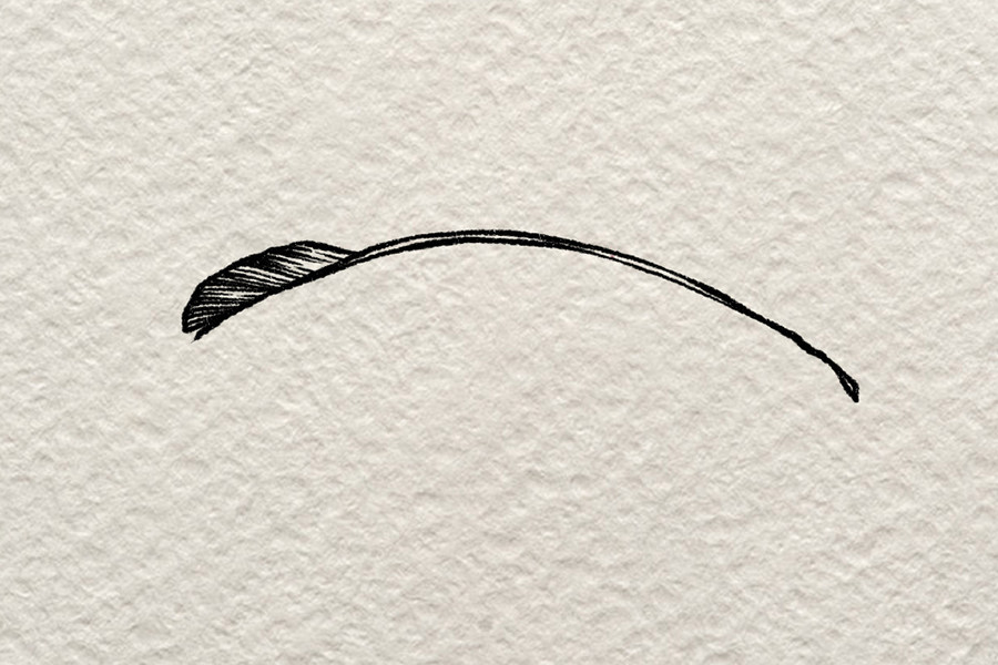 一根羽毛插画简笔画步骤