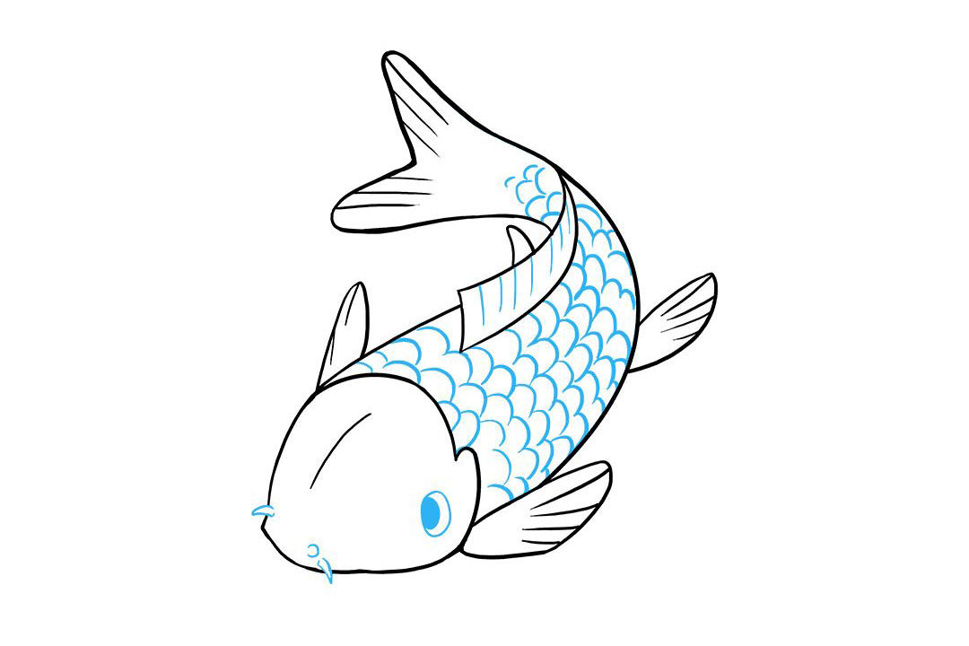 如何画锦鲤鱼简笔画