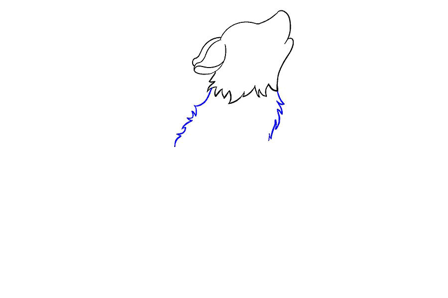 可爱小狼简笔画画法