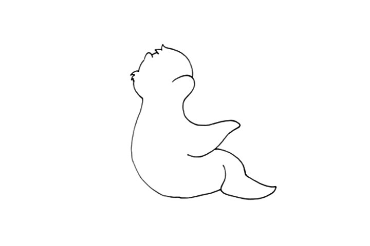 玩球的海狮怎么画