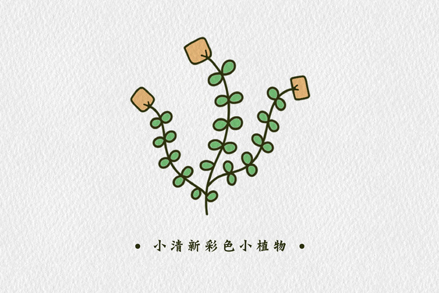 小清新彩色植物简笔画图片