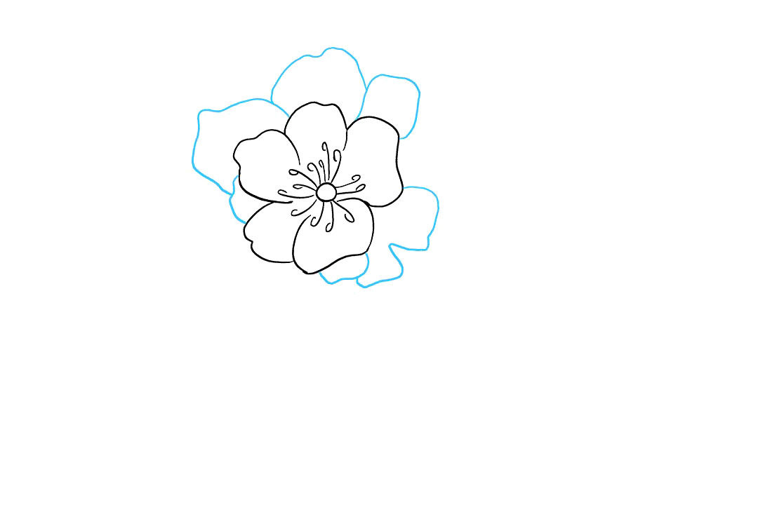 牡丹花怎么画