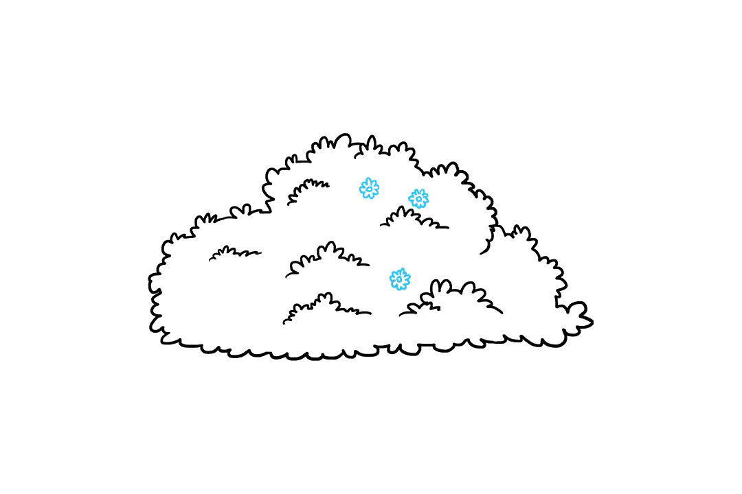 灌木丛简笔画怎么画