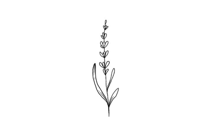 植物花草简笔画10种漂亮的小花简笔画