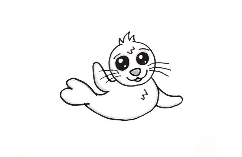 画一只可爱的海豹