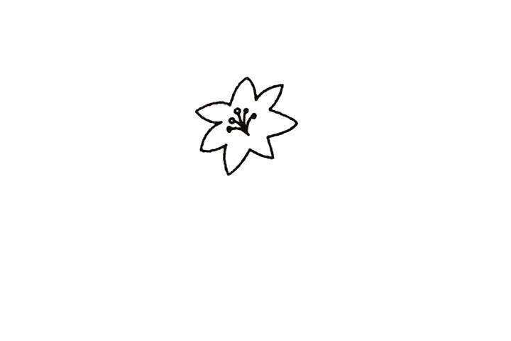百合花的简笔画画法