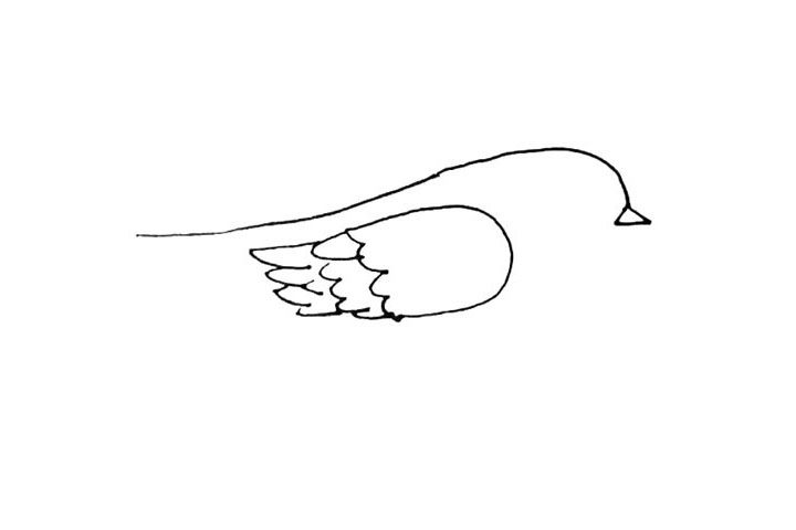黄鹂简笔画画法步骤