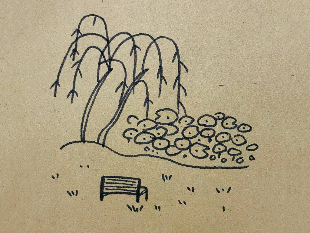 荷叶风景简笔画图片