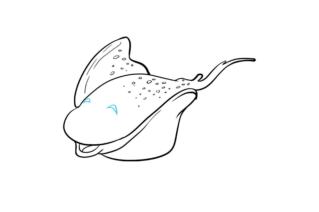 赤魟鱼怎么画