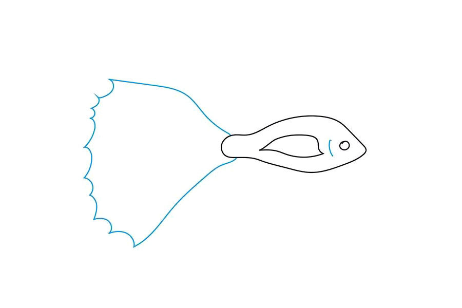 简单漂亮的斗鱼简笔画画法步骤