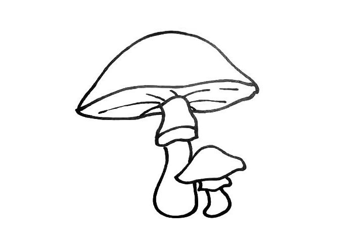 漂亮的蘑菇简笔画画法步骤