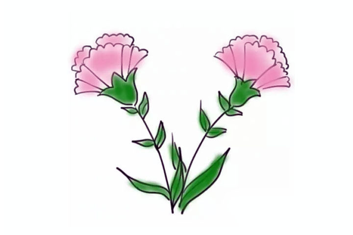 康乃馨简笔画怎么画