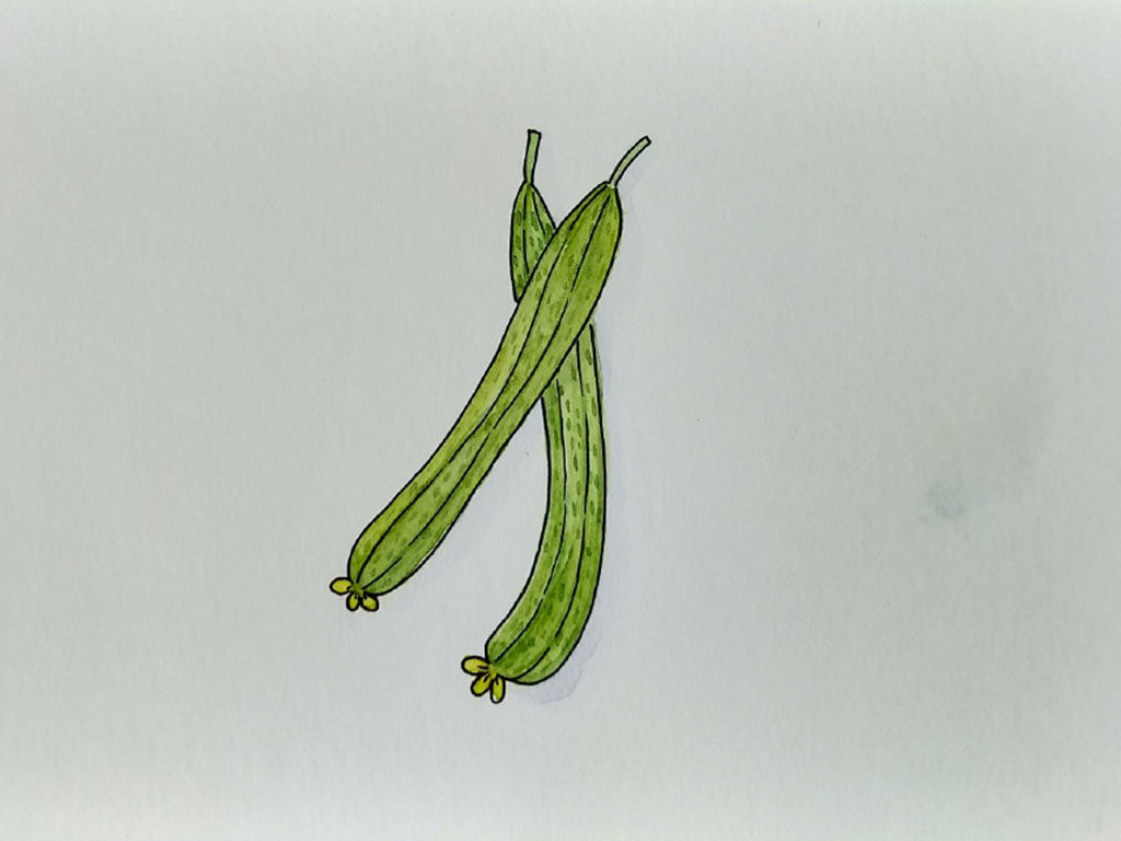蔬菜怎么画好看