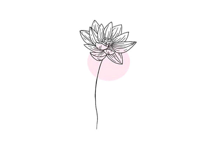 植物花草简笔画漂亮的小花简笔画图片