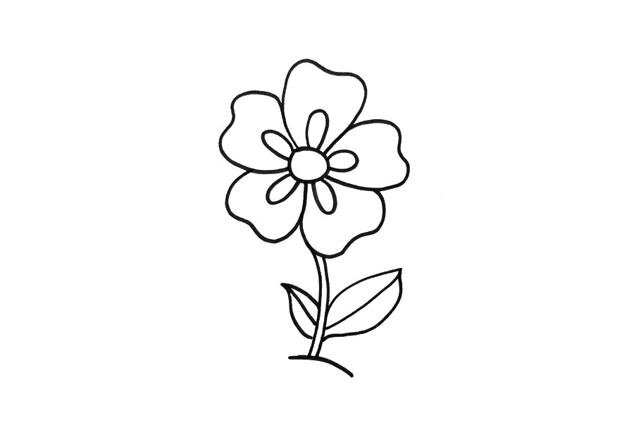 超简单五瓣花怎么画