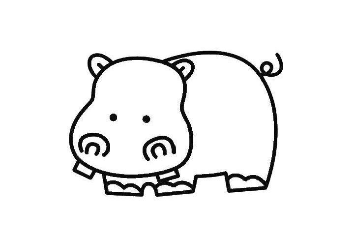 关于河马简笔画画法教程